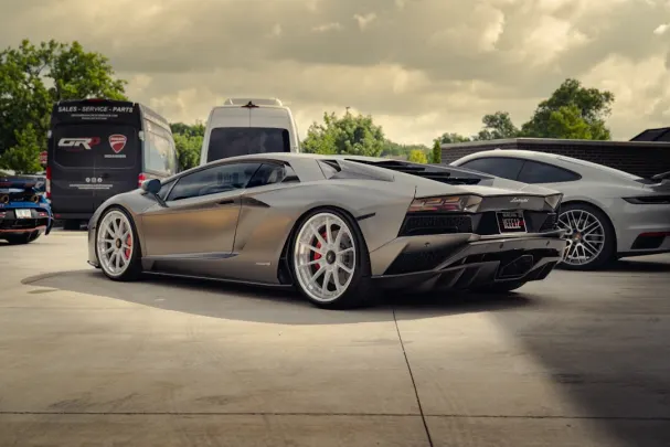 Dolly Casino Application Android/iOS